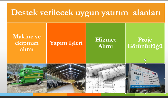 Resim1